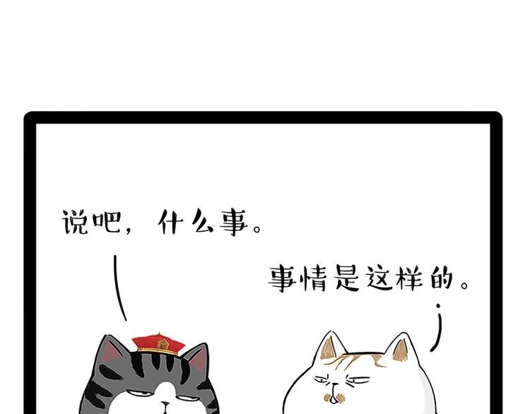 《吾皇巴扎黑》漫画最新章节第167话 猫王争霸赛免费下拉式在线观看章节第【6】张图片