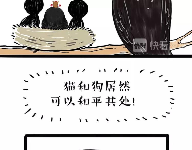 《吾皇巴扎黑》漫画最新章节第168话  翅中历险记免费下拉式在线观看章节第【40】张图片