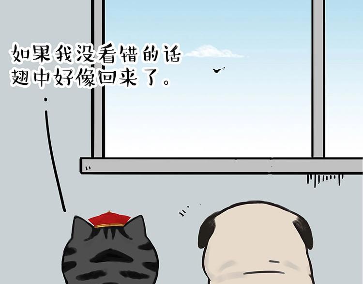 《吾皇巴扎黑》漫画最新章节第168话  翅中历险记免费下拉式在线观看章节第【50】张图片