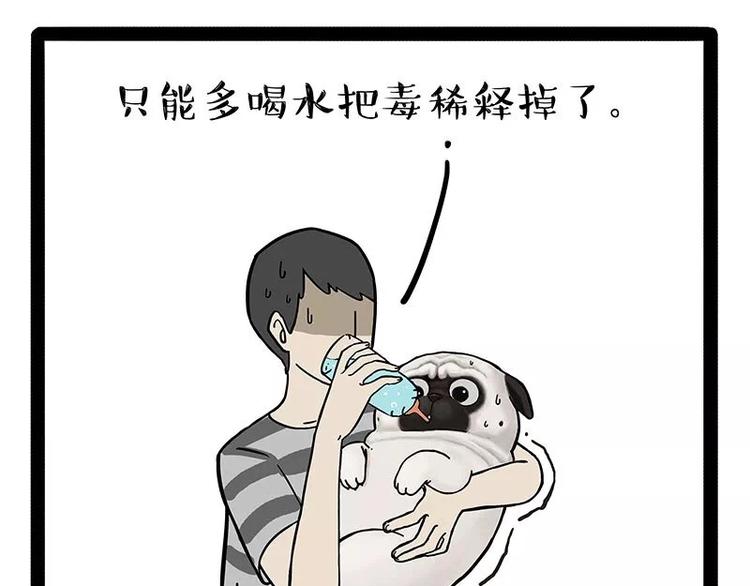 《吾皇巴扎黑》漫画最新章节第169话 巴扎黑中毒了？！免费下拉式在线观看章节第【13】张图片