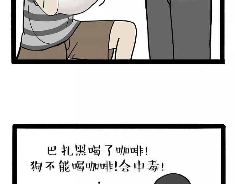 《吾皇巴扎黑》漫画最新章节第169话 巴扎黑中毒了？！免费下拉式在线观看章节第【16】张图片