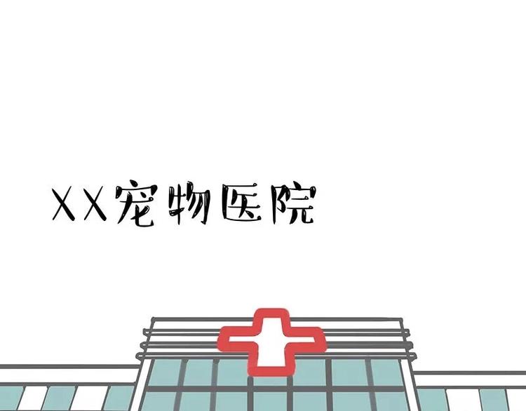 《吾皇巴扎黑》漫画最新章节第169话 巴扎黑中毒了？！免费下拉式在线观看章节第【27】张图片