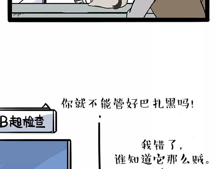 《吾皇巴扎黑》漫画最新章节第169话 巴扎黑中毒了？！免费下拉式在线观看章节第【32】张图片