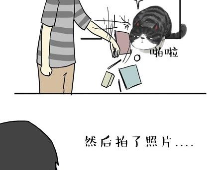 《吾皇巴扎黑》漫画最新章节第18话 思考喵生的猫免费下拉式在线观看章节第【30】张图片