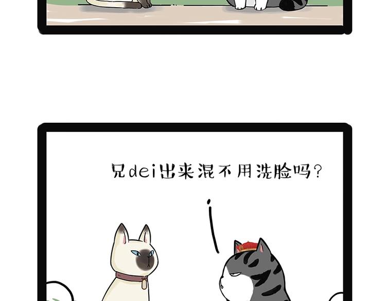 《吾皇巴扎黑》漫画最新章节第171话 不许你走！免费下拉式在线观看章节第【12】张图片