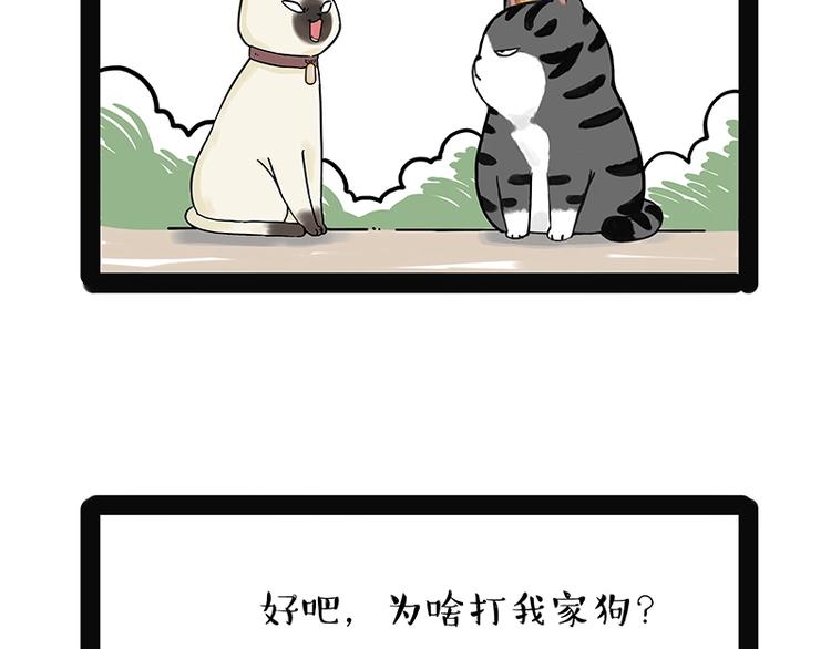 《吾皇巴扎黑》漫画最新章节第171话 不许你走！免费下拉式在线观看章节第【14】张图片