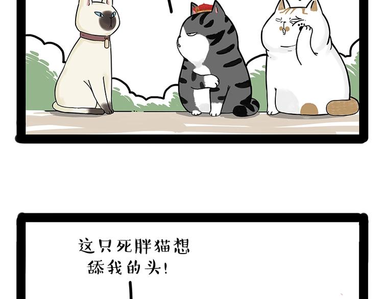 《吾皇巴扎黑》漫画最新章节第171话 不许你走！免费下拉式在线观看章节第【19】张图片