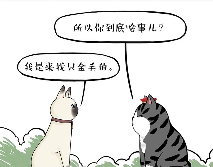 《吾皇巴扎黑》漫画最新章节第171话 不许你走！免费下拉式在线观看章节第【21】张图片