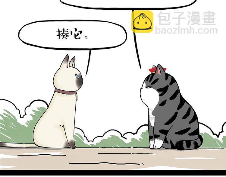 《吾皇巴扎黑》漫画最新章节第171话 不许你走！免费下拉式在线观看章节第【24】张图片