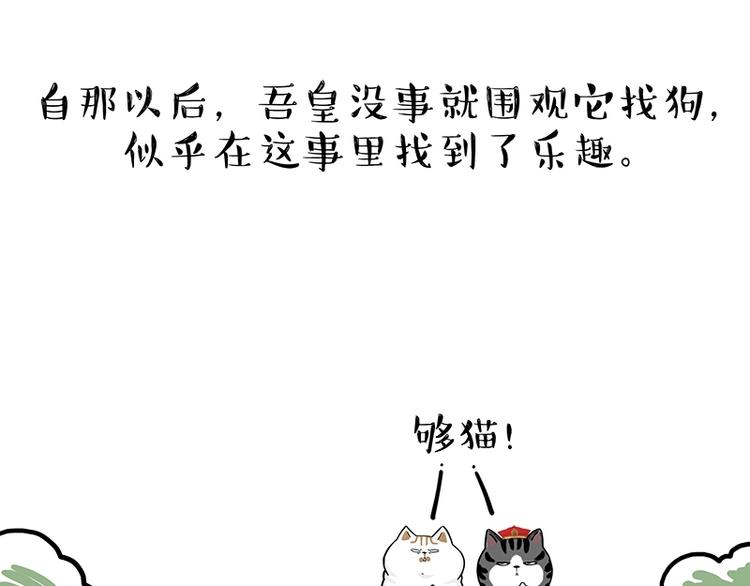 《吾皇巴扎黑》漫画最新章节第171话 不许你走！免费下拉式在线观看章节第【27】张图片