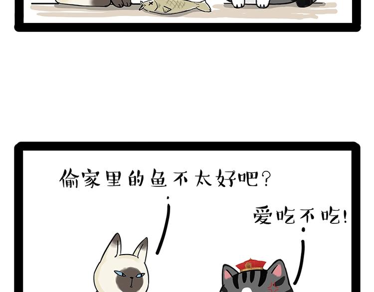 《吾皇巴扎黑》漫画最新章节第171话 不许你走！免费下拉式在线观看章节第【37】张图片