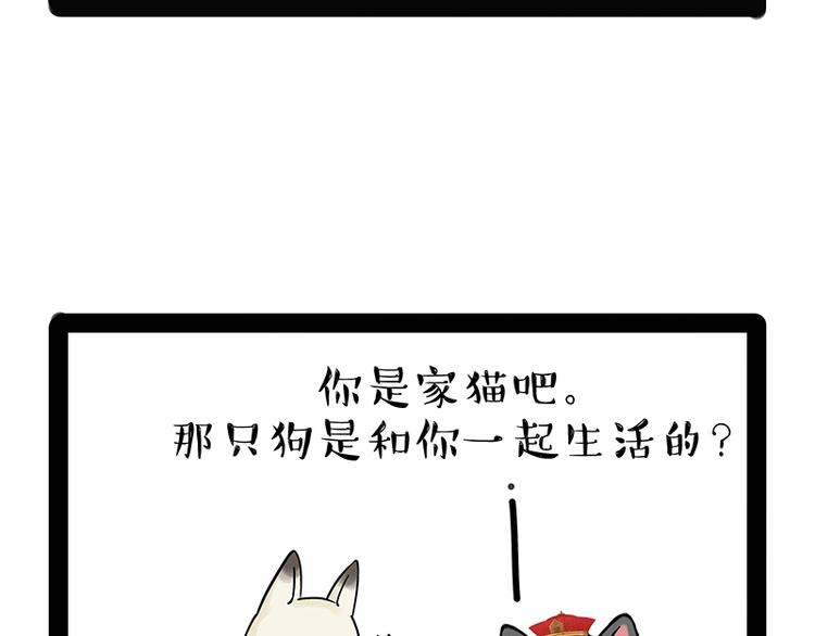 《吾皇巴扎黑》漫画最新章节第171话 不许你走！免费下拉式在线观看章节第【41】张图片