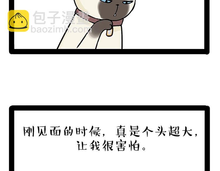 《吾皇巴扎黑》漫画最新章节第171话 不许你走！免费下拉式在线观看章节第【44】张图片