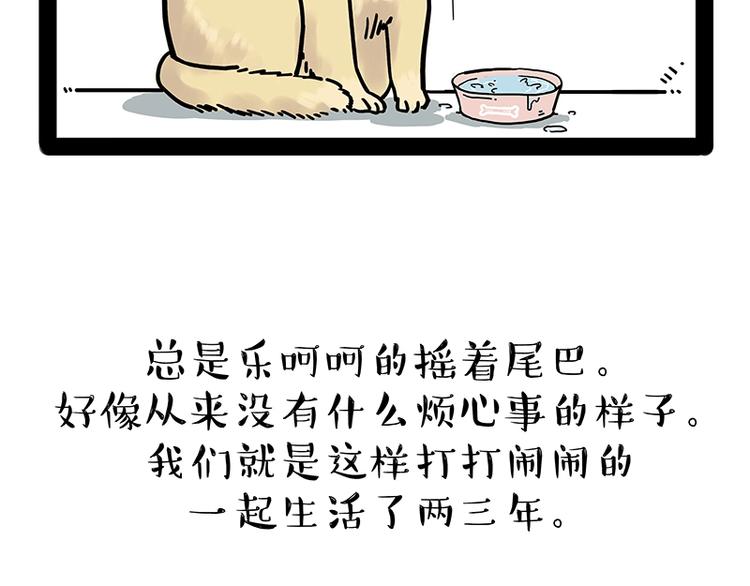 《吾皇巴扎黑》漫画最新章节第171话 不许你走！免费下拉式在线观看章节第【49】张图片