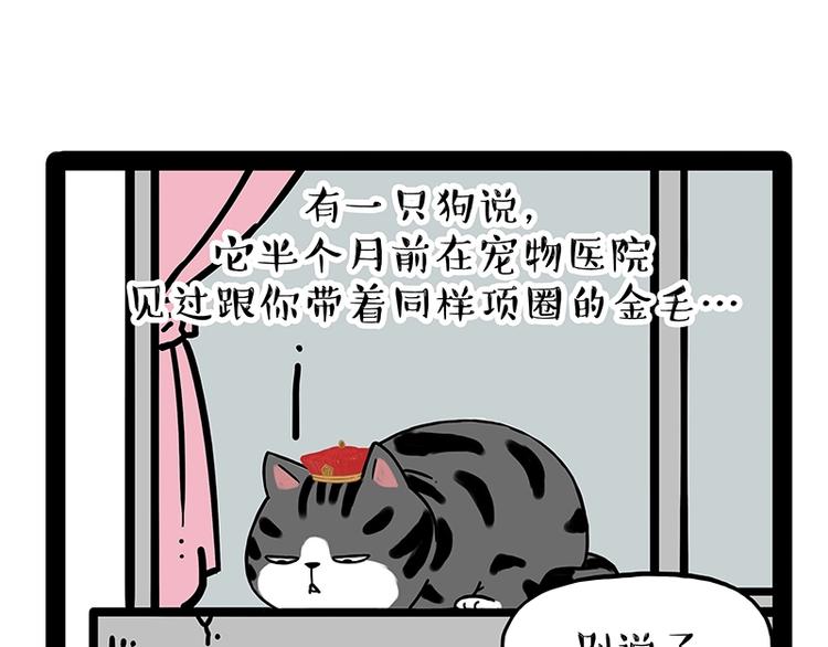 《吾皇巴扎黑》漫画最新章节第171话 不许你走！免费下拉式在线观看章节第【68】张图片