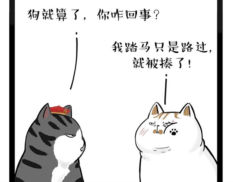 《吾皇巴扎黑》漫画最新章节第171话 不许你走！免费下拉式在线观看章节第【7】张图片