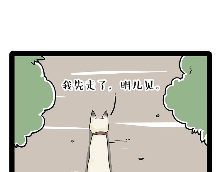 《吾皇巴扎黑》漫画最新章节第171话 不许你走！免费下拉式在线观看章节第【71】张图片