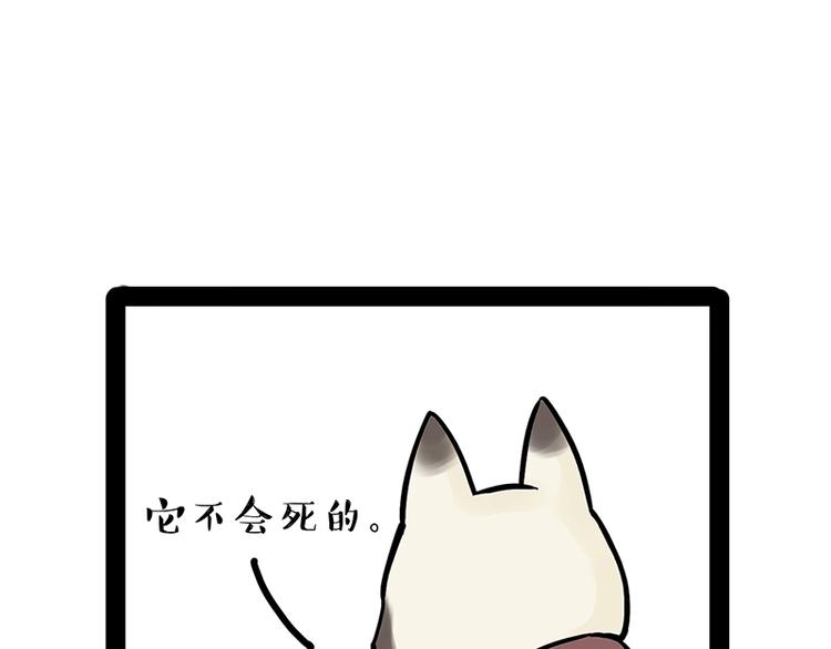 《吾皇巴扎黑》漫画最新章节第171话 不许你走！免费下拉式在线观看章节第【76】张图片