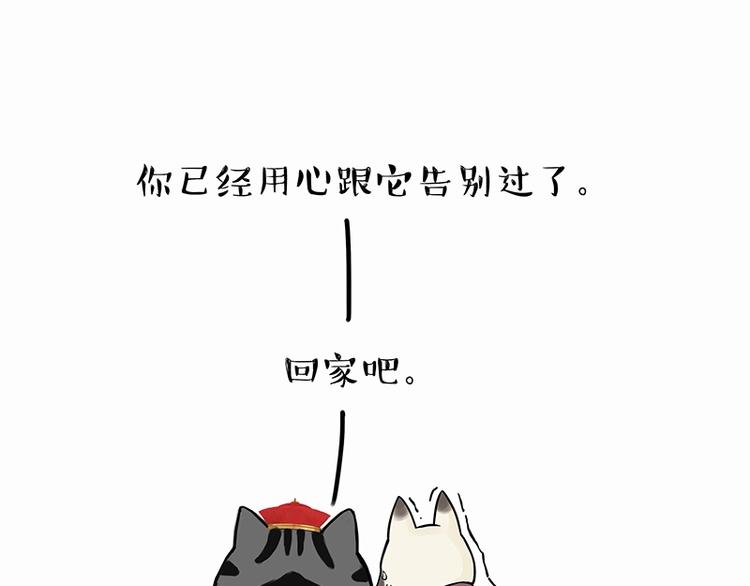 《吾皇巴扎黑》漫画最新章节第171话 不许你走！免费下拉式在线观看章节第【84】张图片