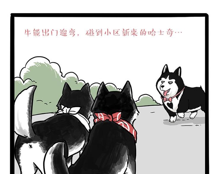 《吾皇巴扎黑》漫画最新章节第175话 狗中王者免费下拉式在线观看章节第【1】张图片