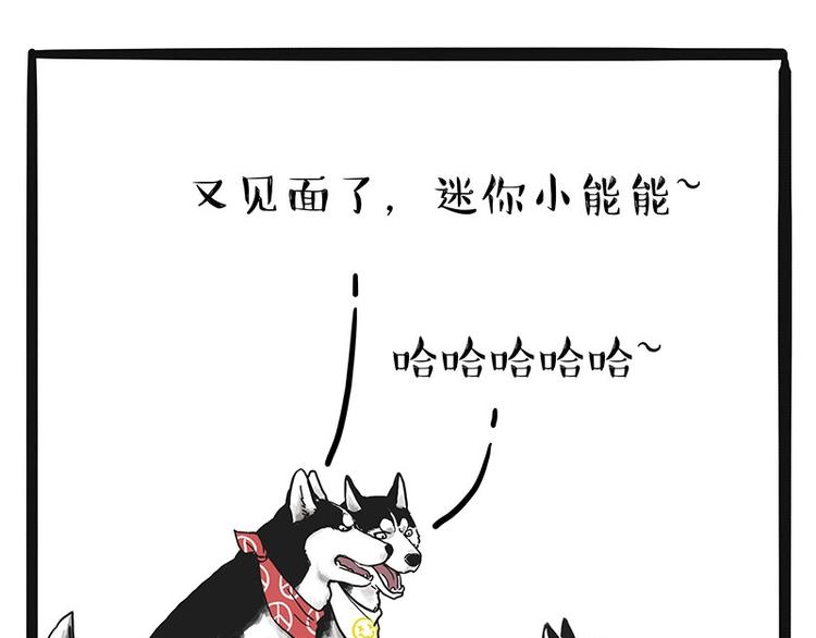 《吾皇巴扎黑》漫画最新章节第175话 狗中王者免费下拉式在线观看章节第【21】张图片