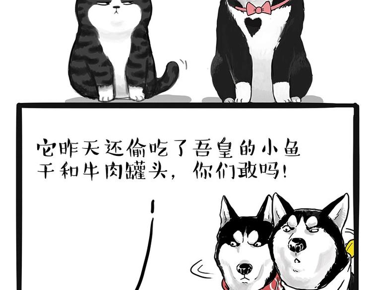 《吾皇巴扎黑》漫画最新章节第175话 狗中王者免费下拉式在线观看章节第【32】张图片