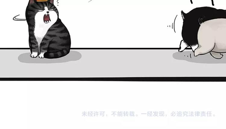 《吾皇巴扎黑》漫画最新章节第175话 狗中王者免费下拉式在线观看章节第【61】张图片