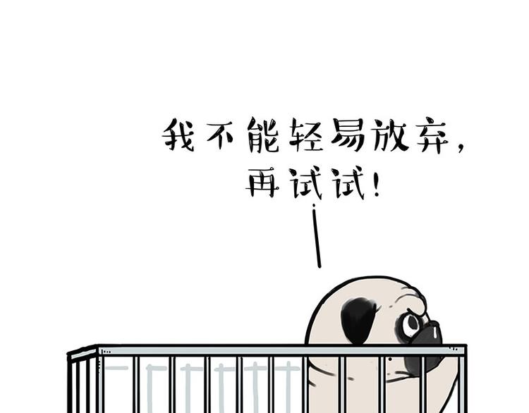 《吾皇巴扎黑》漫画最新章节第176话 不要打扰我追求自由免费下拉式在线观看章节第【11】张图片