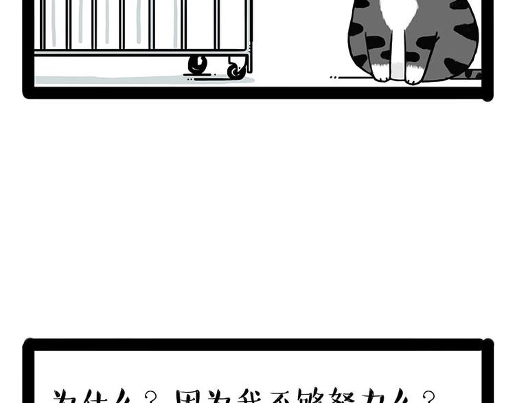 《吾皇巴扎黑》漫画最新章节第176话 不要打扰我追求自由免费下拉式在线观看章节第【16】张图片