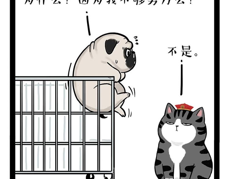 《吾皇巴扎黑》漫画最新章节第176话 不要打扰我追求自由免费下拉式在线观看章节第【17】张图片