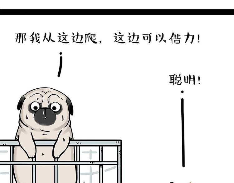 《吾皇巴扎黑》漫画最新章节第176话 不要打扰我追求自由免费下拉式在线观看章节第【21】张图片