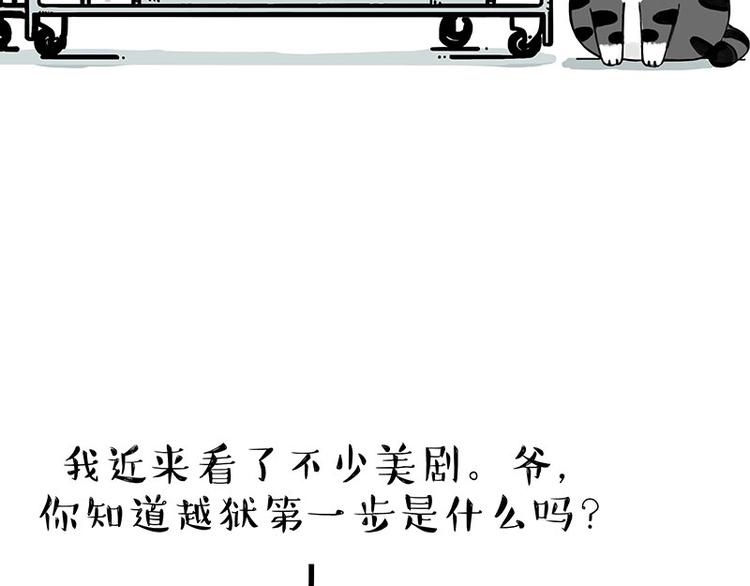 《吾皇巴扎黑》漫画最新章节第176话 不要打扰我追求自由免费下拉式在线观看章节第【29】张图片