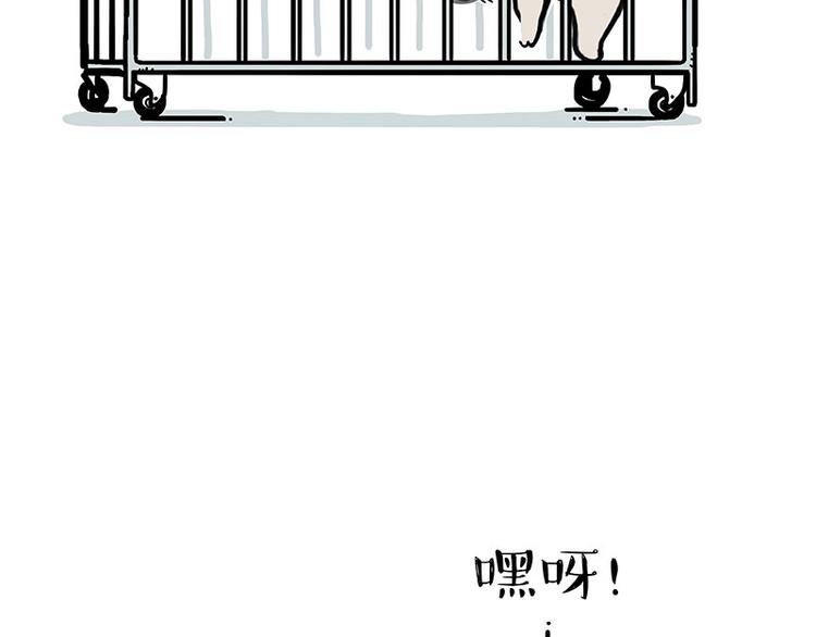 《吾皇巴扎黑》漫画最新章节第176话 不要打扰我追求自由免费下拉式在线观看章节第【4】张图片