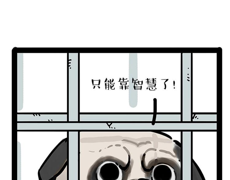 《吾皇巴扎黑》漫画最新章节第176话 不要打扰我追求自由免费下拉式在线观看章节第【43】张图片