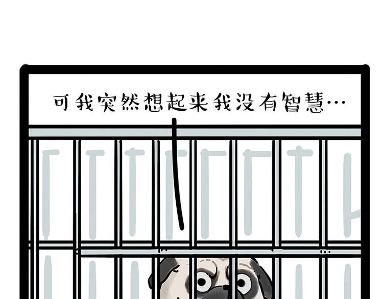 《吾皇巴扎黑》漫画最新章节第176话 不要打扰我追求自由免费下拉式在线观看章节第【45】张图片