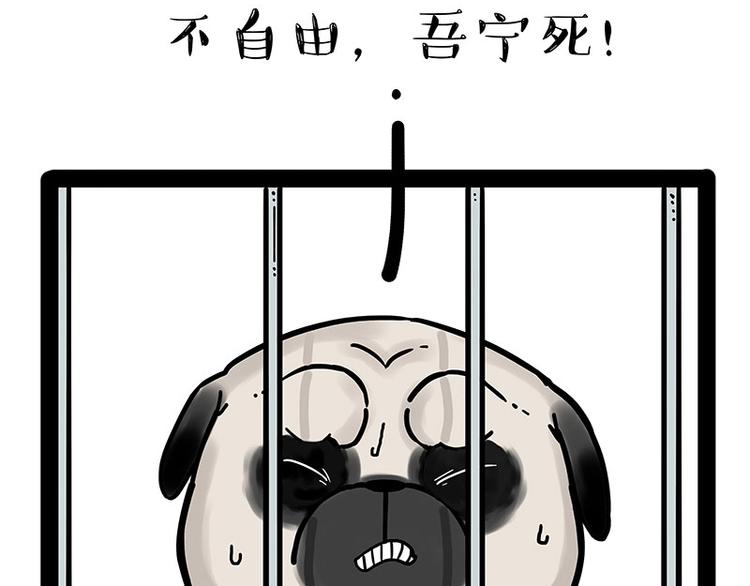 《吾皇巴扎黑》漫画最新章节第176话 不要打扰我追求自由免费下拉式在线观看章节第【62】张图片