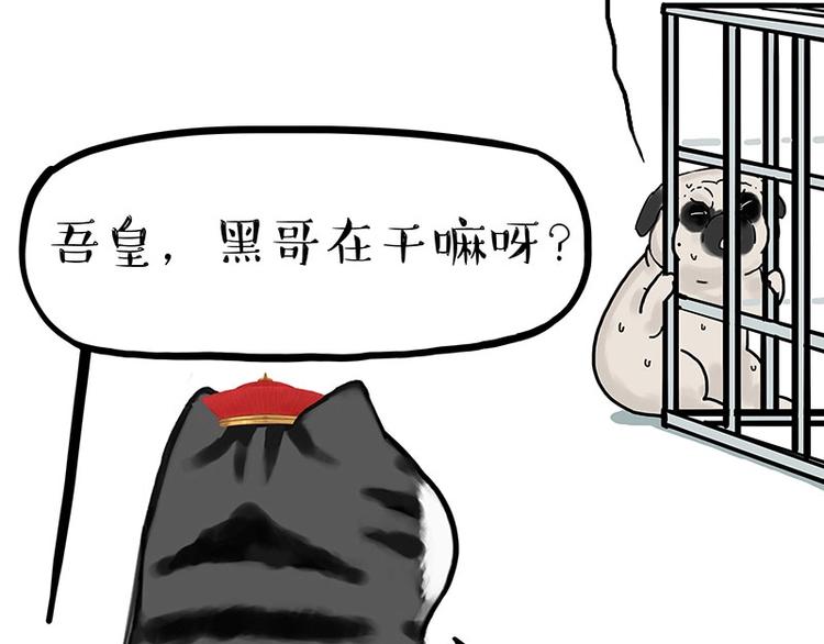 《吾皇巴扎黑》漫画最新章节第176话 不要打扰我追求自由免费下拉式在线观看章节第【64】张图片