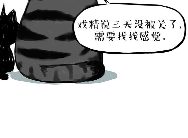 《吾皇巴扎黑》漫画最新章节第176话 不要打扰我追求自由免费下拉式在线观看章节第【65】张图片