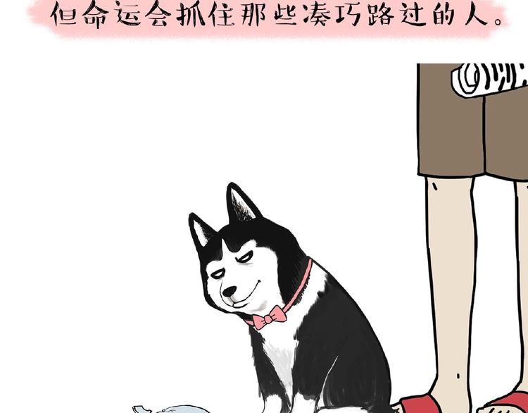 《吾皇巴扎黑》漫画最新章节第176话 不要打扰我追求自由免费下拉式在线观看章节第【72】张图片