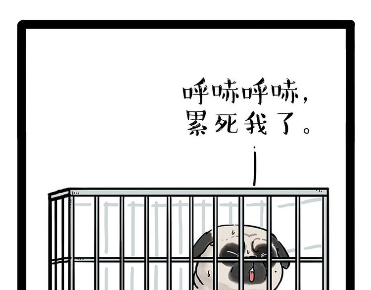 《吾皇巴扎黑》漫画最新章节第176话 不要打扰我追求自由免费下拉式在线观看章节第【9】张图片