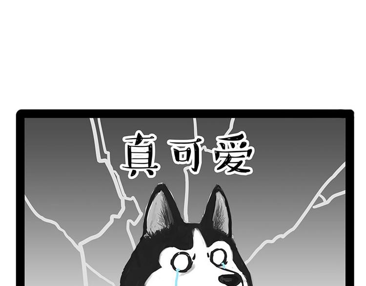 《吾皇巴扎黑》漫画最新章节第184话 牛能的烦恼免费下拉式在线观看章节第【24】张图片