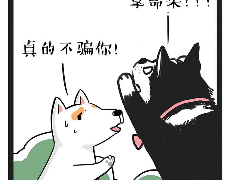 《吾皇巴扎黑》漫画最新章节第184话 牛能的烦恼免费下拉式在线观看章节第【41】张图片