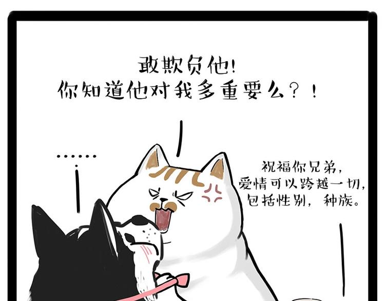 《吾皇巴扎黑》漫画最新章节第184话 牛能的烦恼免费下拉式在线观看章节第【48】张图片