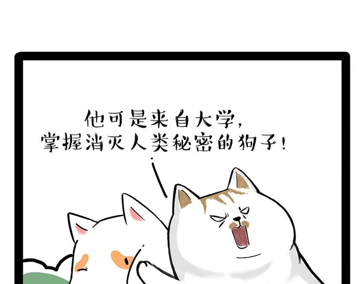 《吾皇巴扎黑》漫画最新章节第184话 牛能的烦恼免费下拉式在线观看章节第【51】张图片