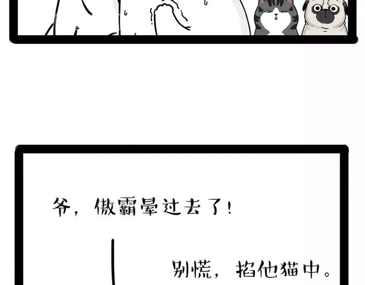 《吾皇巴扎黑》漫画最新章节第184话 牛能的烦恼免费下拉式在线观看章节第【73】张图片