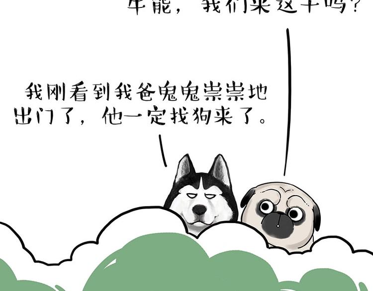 《吾皇巴扎黑》漫画最新章节第184话 牛能的烦恼免费下拉式在线观看章节第【9】张图片