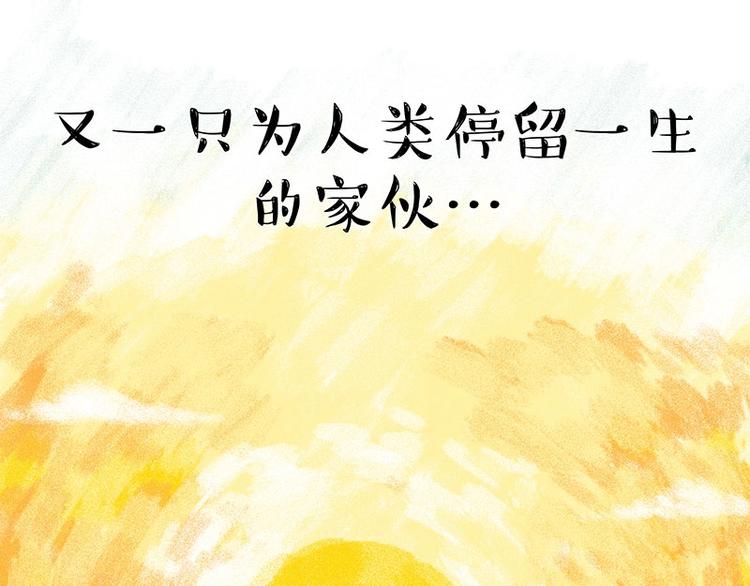 《吾皇巴扎黑》漫画最新章节第184话 牛能的烦恼免费下拉式在线观看章节第【93】张图片