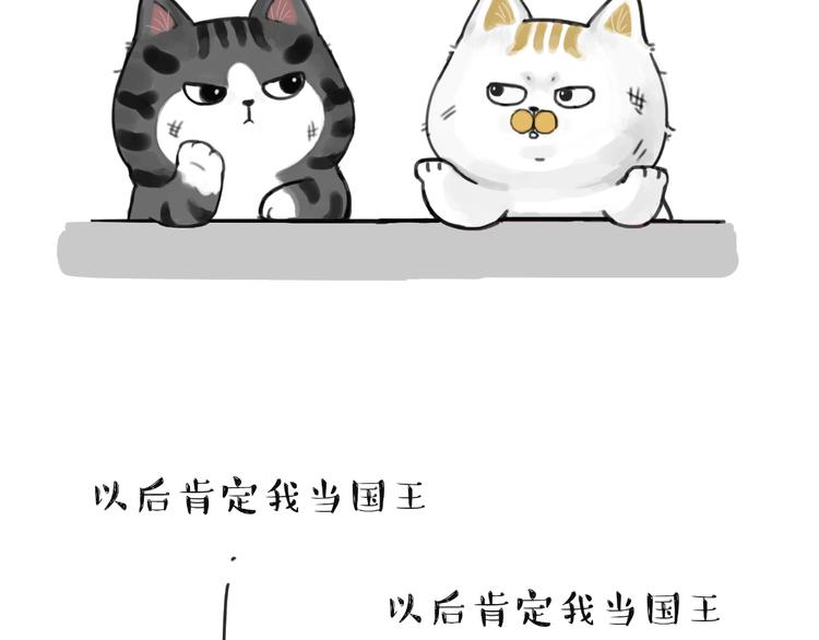 《吾皇巴扎黑》漫画最新章节第185话 好兄弟！免费下拉式在线观看章节第【17】张图片