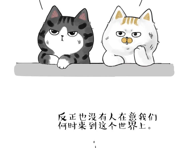 《吾皇巴扎黑》漫画最新章节第185话 好兄弟！免费下拉式在线观看章节第【4】张图片