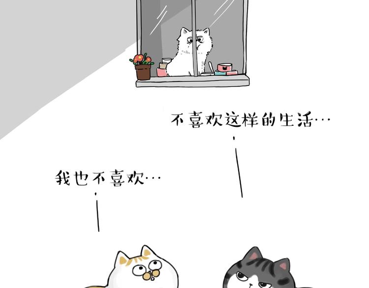 《吾皇巴扎黑》漫画最新章节第185话 好兄弟！免费下拉式在线观看章节第【40】张图片